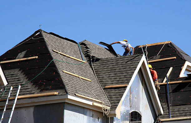 Best Roof Gutter Cleaning  in Star Valley, AZ