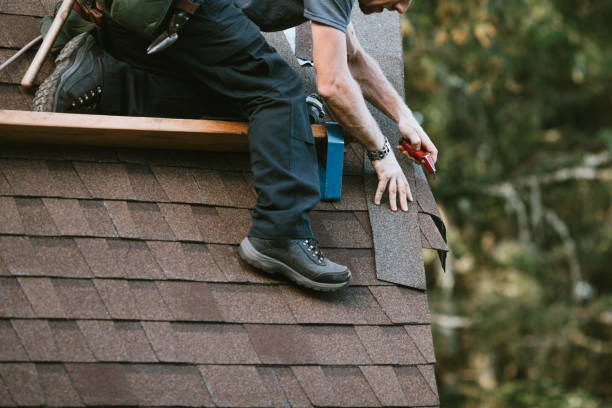 Best Roof Maintenance Services  in Star Valley, AZ
